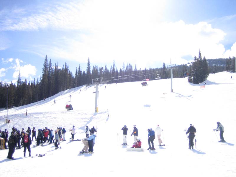 Main Vein Run